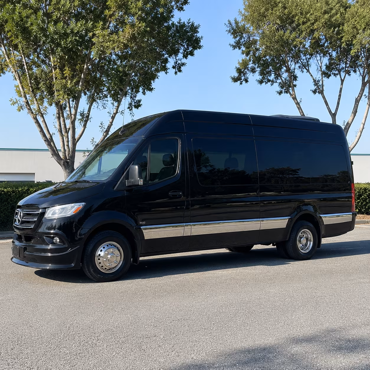 sprinter van with driver